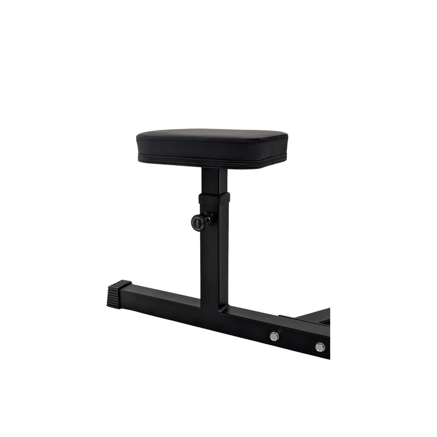 OVERDRIVE  Bicep Curl Machine - Plate Loaded