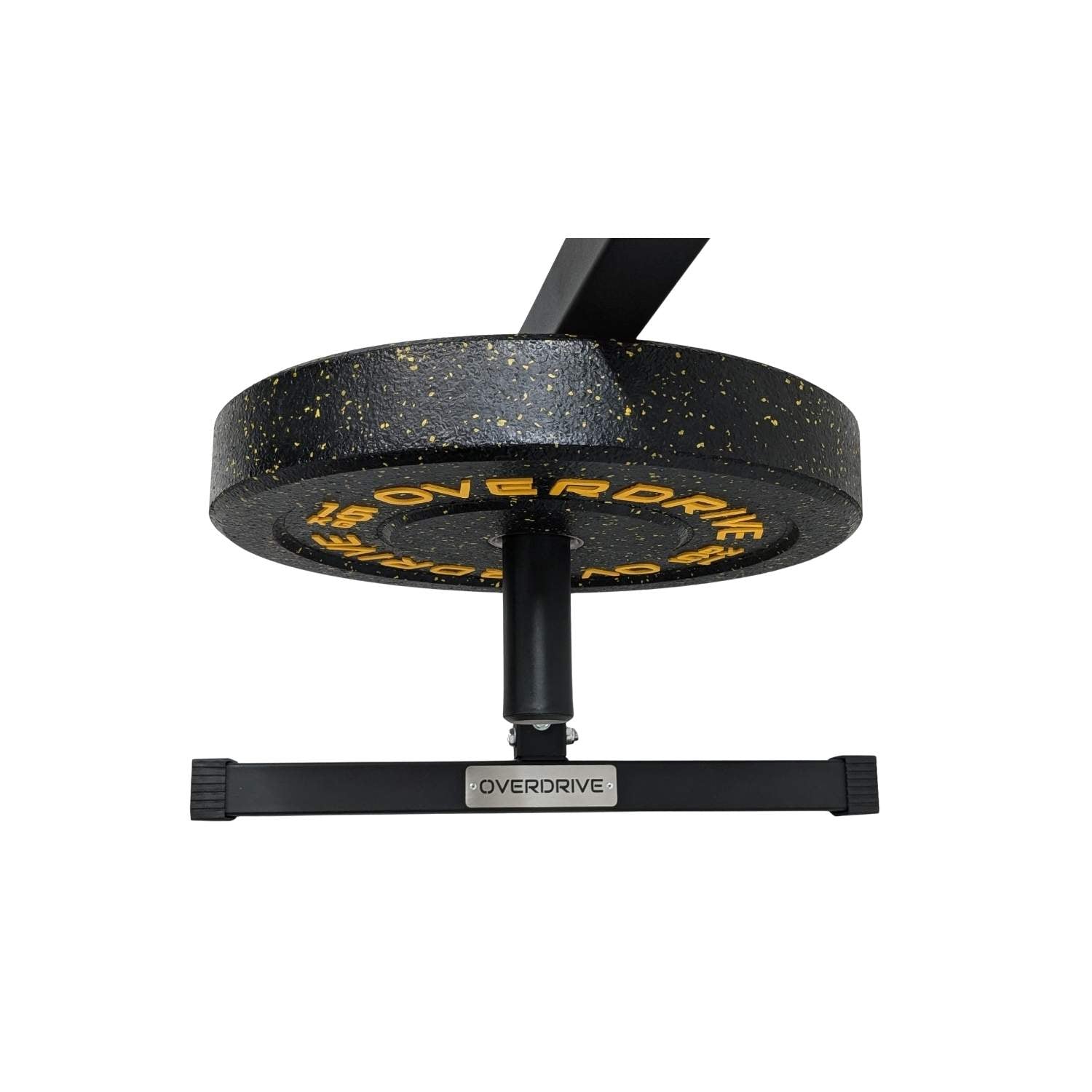 OVERDRIVE  Bicep Curl Machine - Plate Loaded