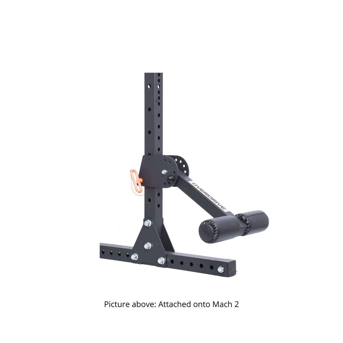 Power Rack Leg Attachment OVERDRIVE Nordic Curl / Split Leg Roller Attachment for Power Racks ...